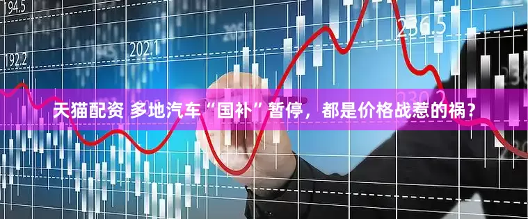 天猫配资 多地汽车“国补”暂停，都是价格战惹的祸？